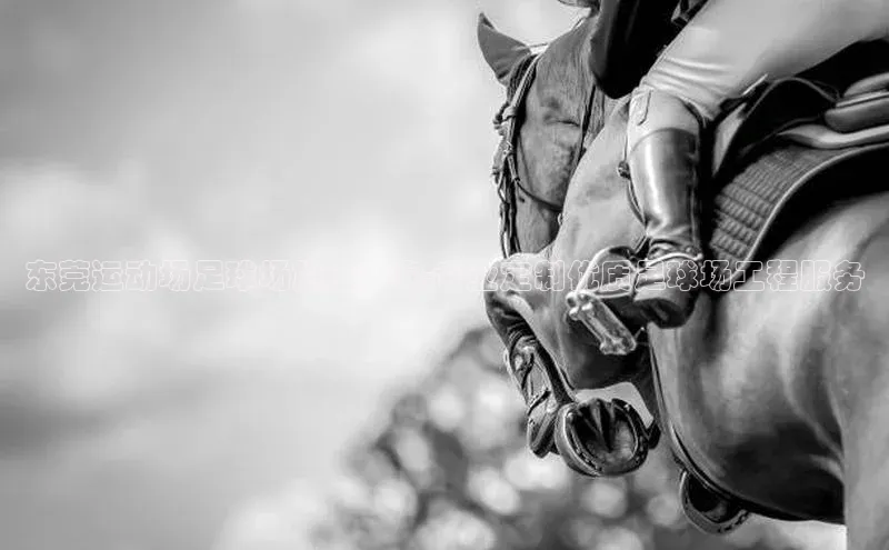 非凡体育2121app官网版百度集团东莞运动场足球场施工厂家-专业定制优质足球场工程服务