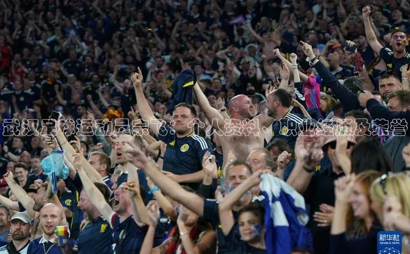 非凡体育百度移动开放平台武汉足球运动员宗飞：个人资料、职业经历及荣誉