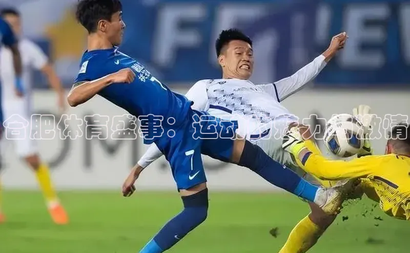 2121非凡体育app下载梯哥哥科技合肥体育盛事：运动的魅力与激情