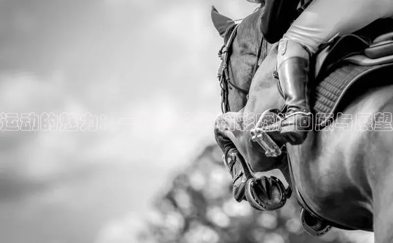 运动的魅力：一场赛会的精彩瞬间回顾与展望