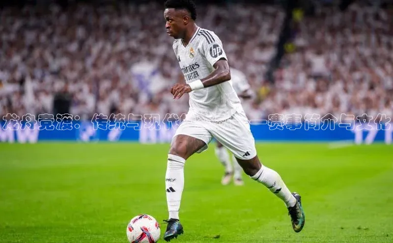 龙舟竞渡：传统与现代的交融——赛事简介与文化