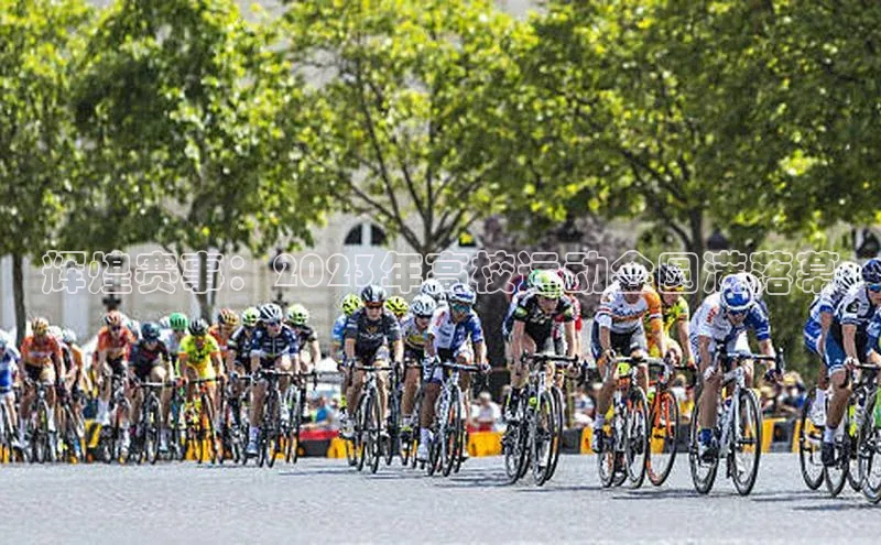 辉煌赛事：2023年高校运动会圆满落幕