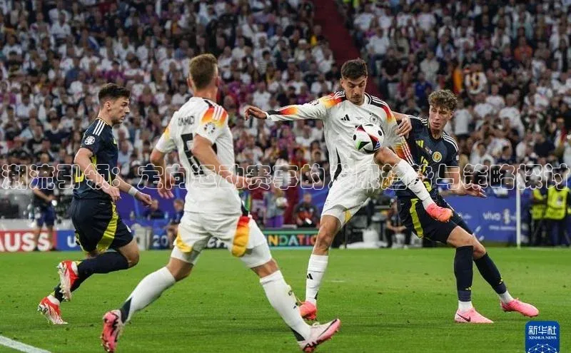 潮流引领：定向运动赛事的发展趋势与策略探讨