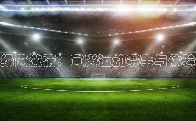 绿茵激情：宜兴运动赛事与体验