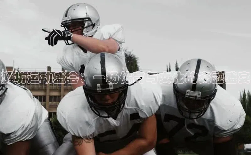 潍坊运动盛会：一场体育与文化的交融盛宴