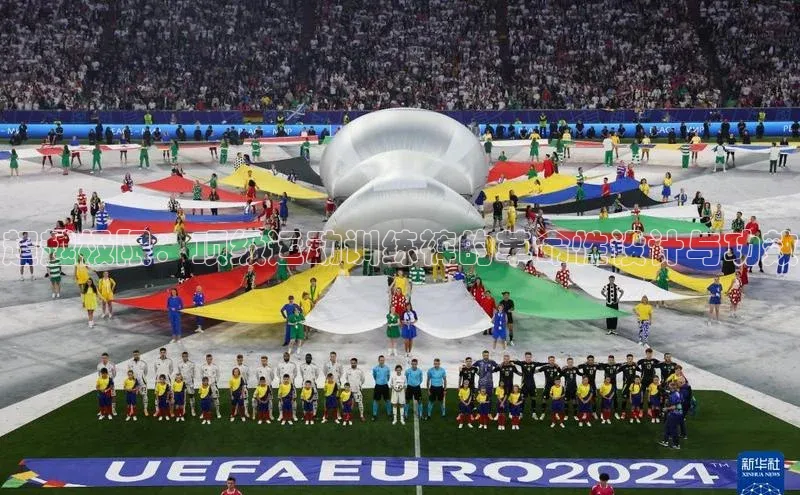 超越极限：顶级运动训练裤的革命性设计与功效