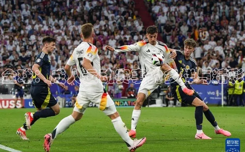 全球：成人运动赛事的多样与精彩