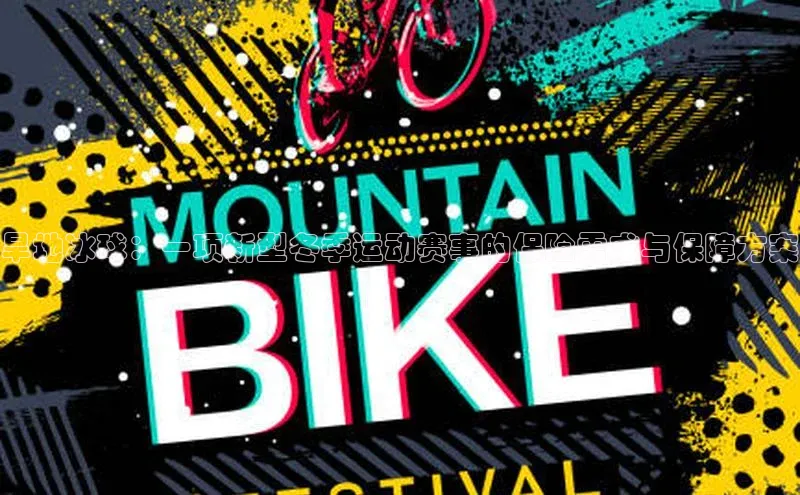 旱地冰球：一项新型冬季运动赛事的保险需求与保障方案